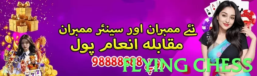 flying chess Pakistan - 3